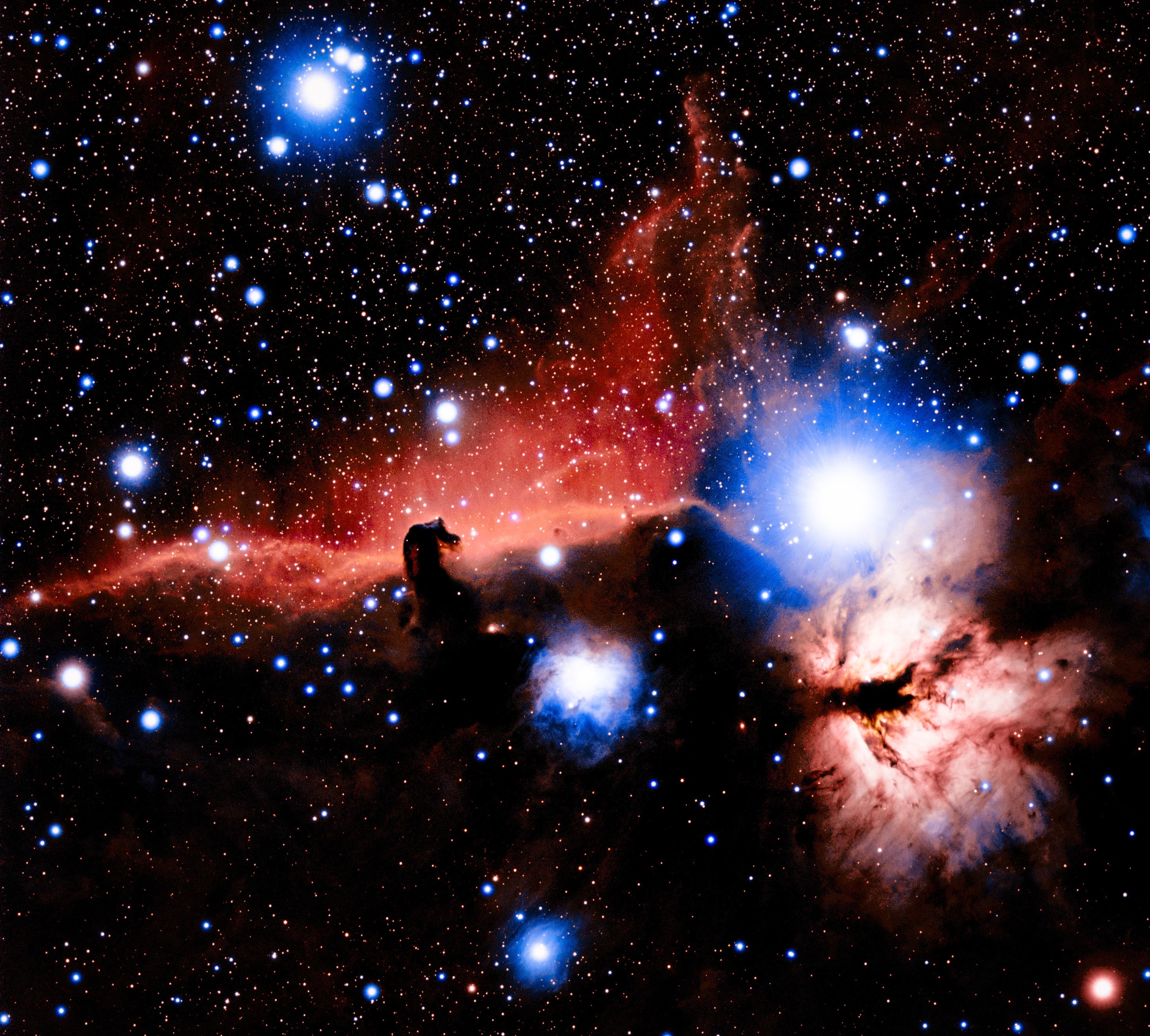 Stunning View of Horsehead Nebula in Space · Free Stock Photo