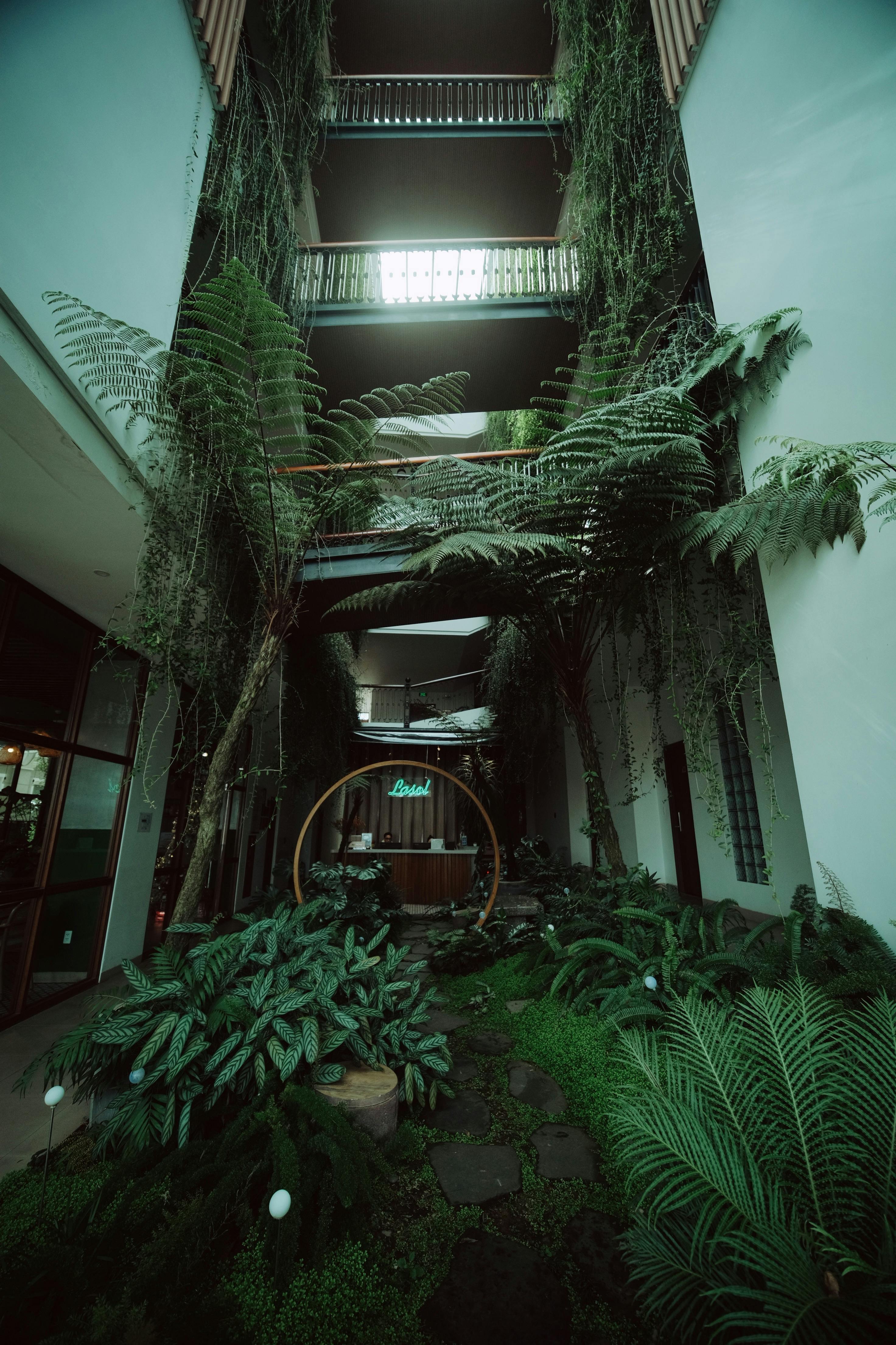 Green indoor architectural atrium filled with lush ferns and plants, creating a serene oasis.