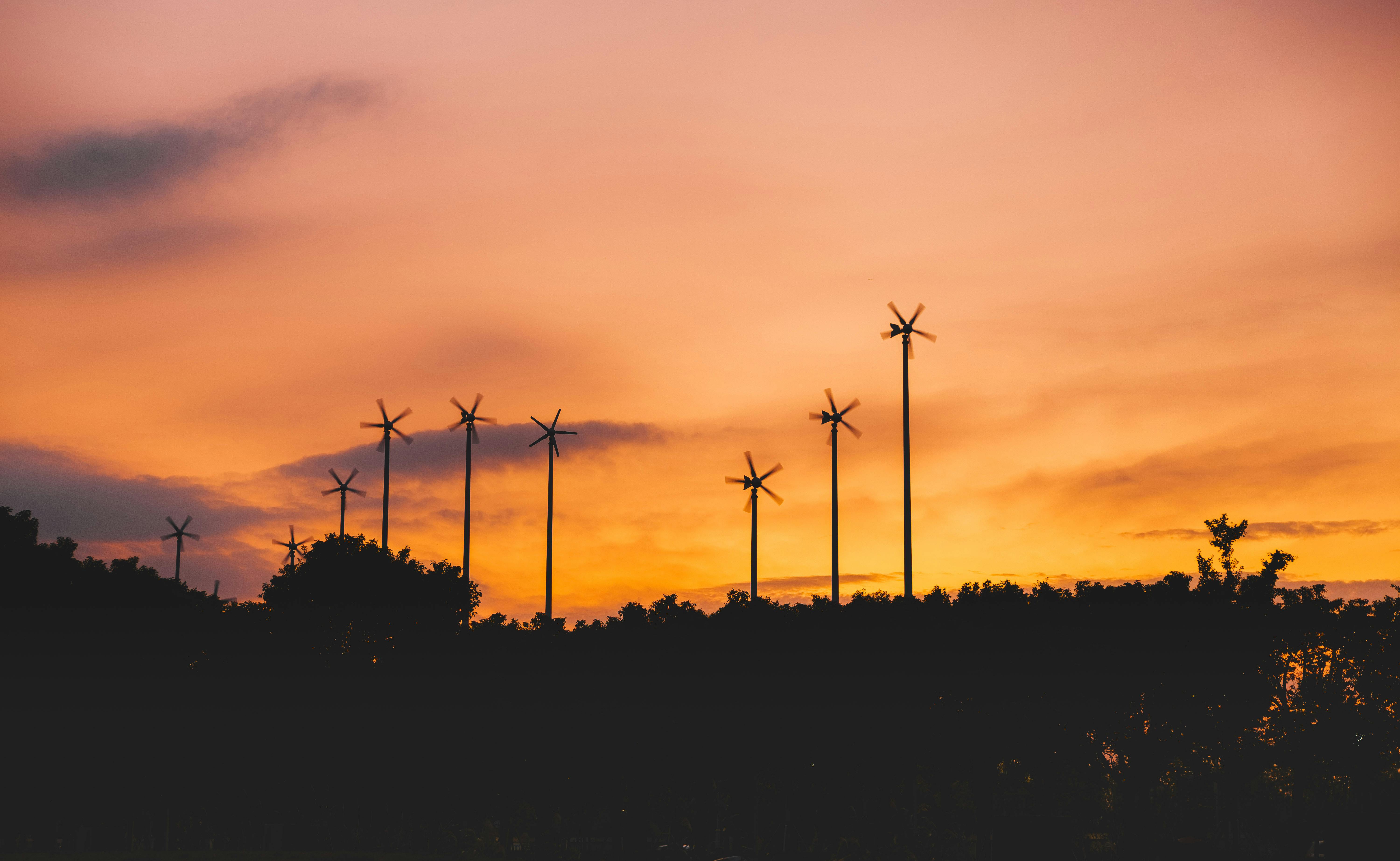 Positive Progress for Renewable Energy in Mauritius — Photo by tree lee on Pexels