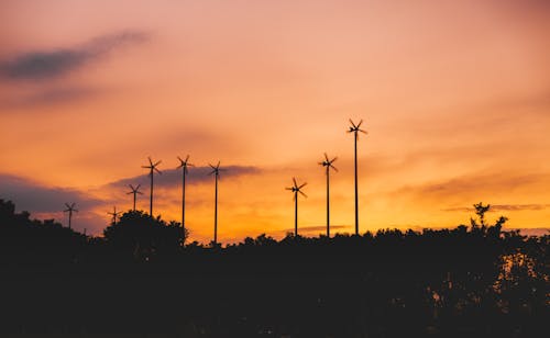 Silhouette Of Windmills 