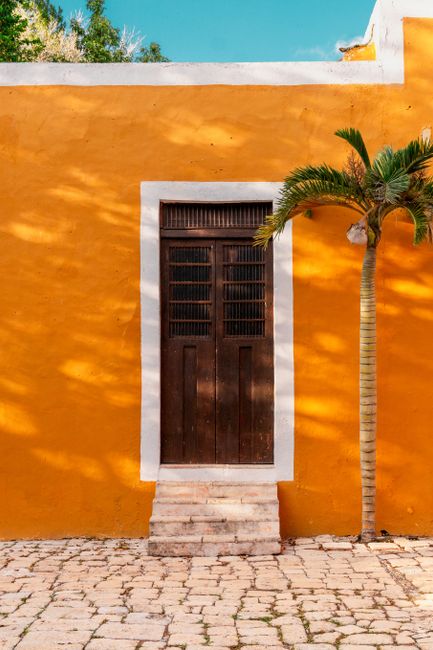 A rustic wooden door set in a vibrant yellow wall accompanied by a small palm tree.
