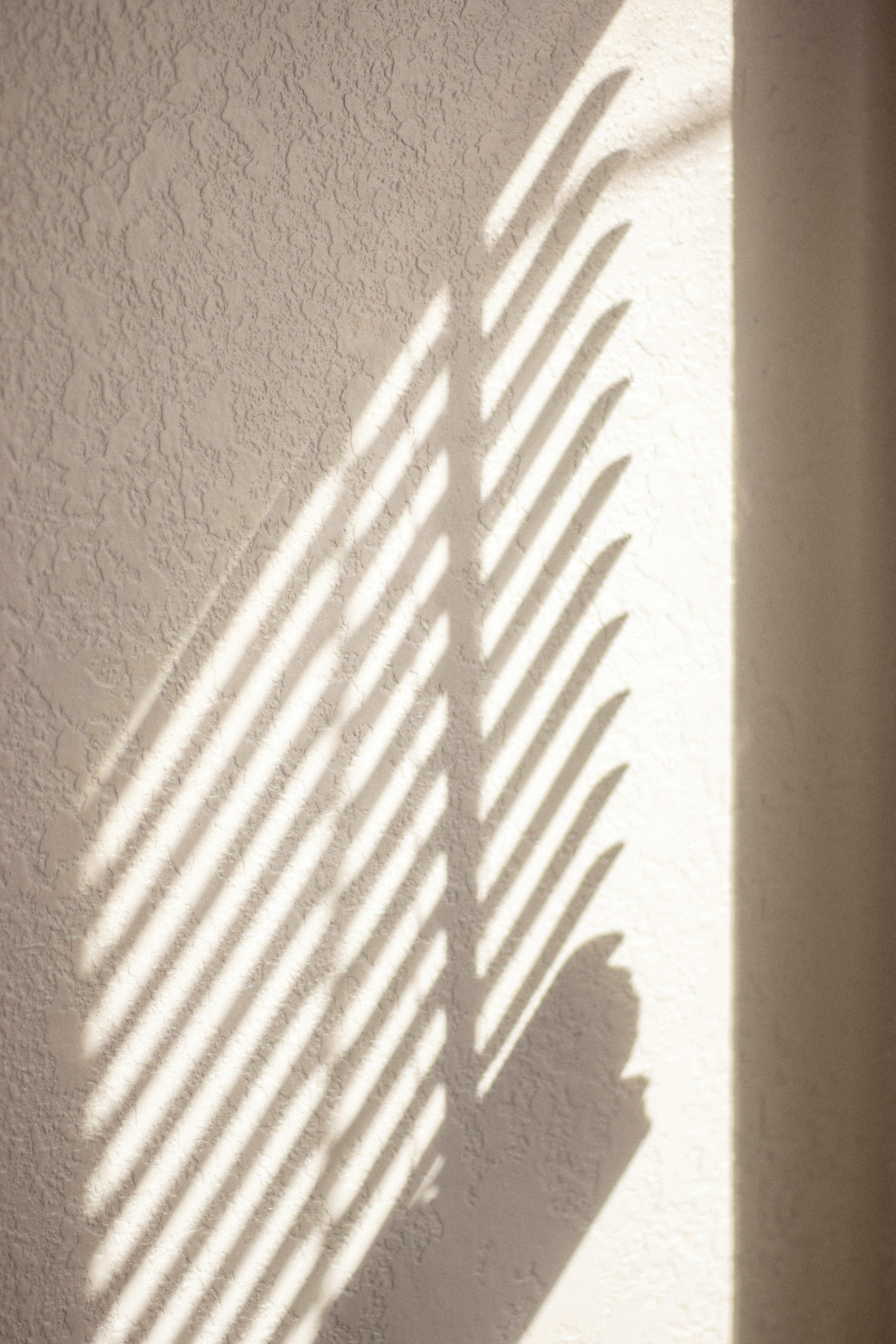 Soft shadows form clean lines on a textured wall in a bright, minimalist setting.
