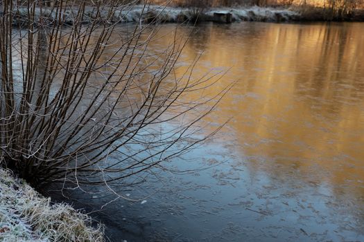 Serene winter morning by a frozen lake with frosty vegetation, reflecting warm hues.