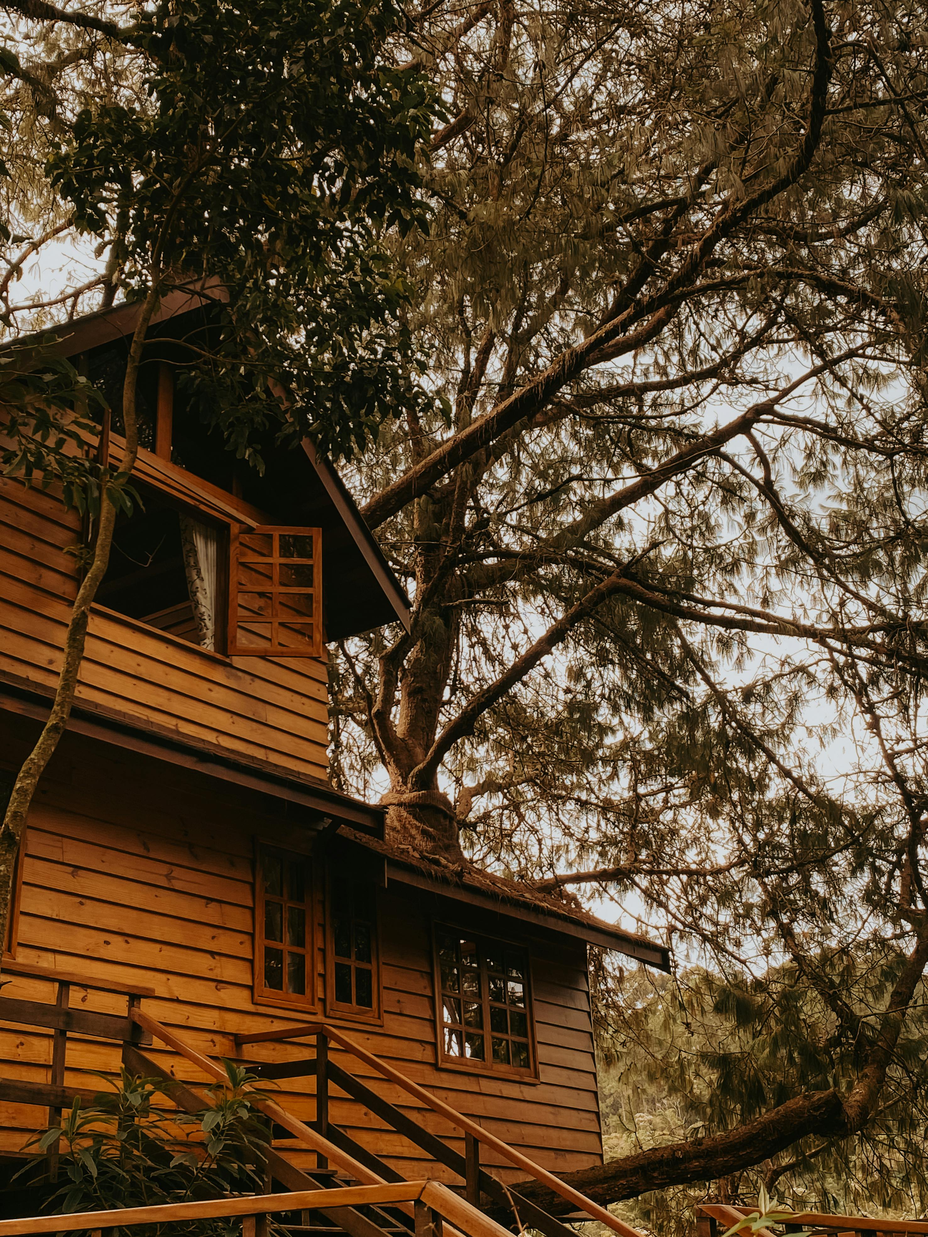 איך לבחור צימר שקט עם בריכה בקיסריה – טיפים מעשיים