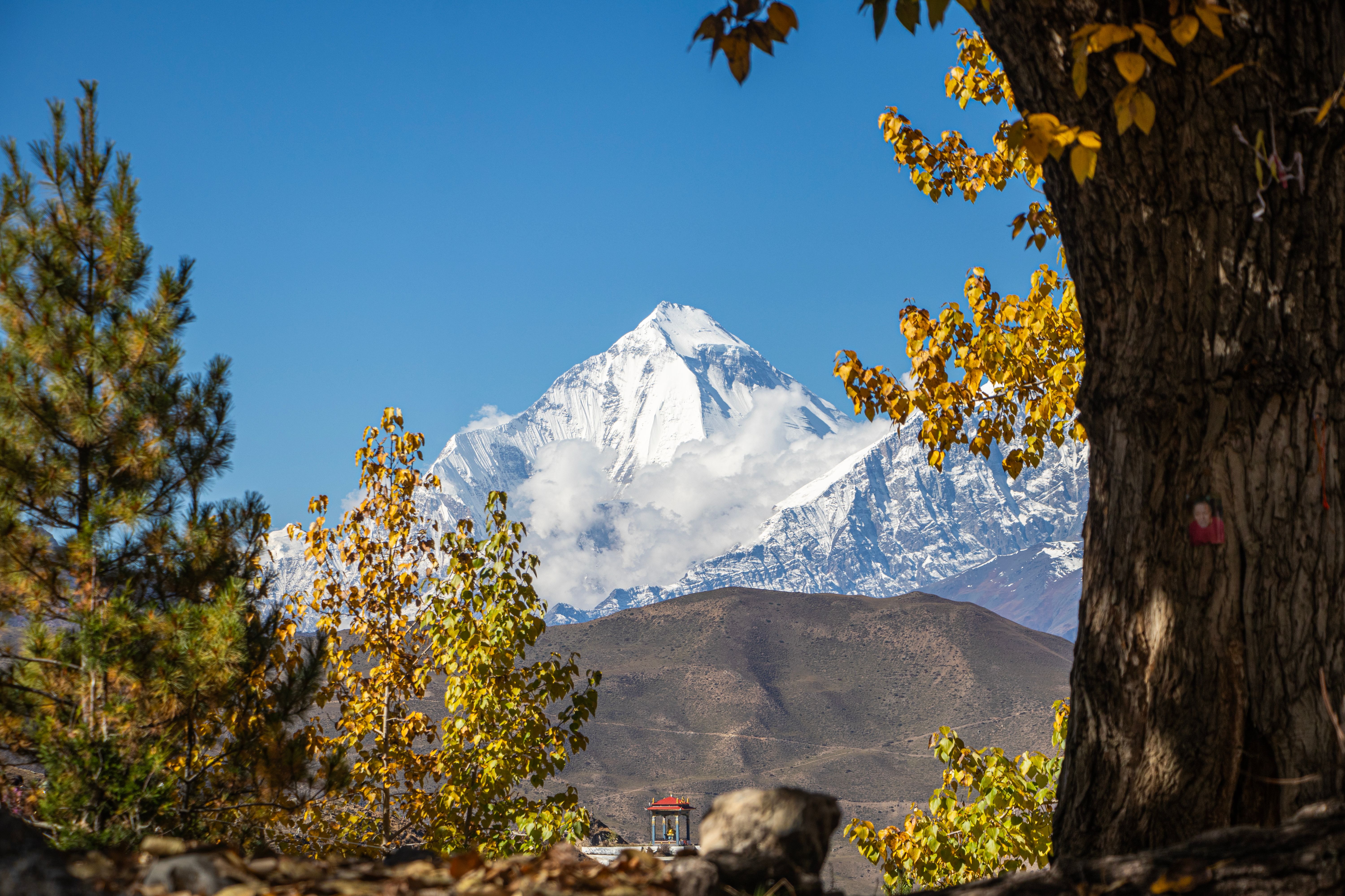 Stunning View of Mount Dhaulagiri in Autumn · Free Stock Photo