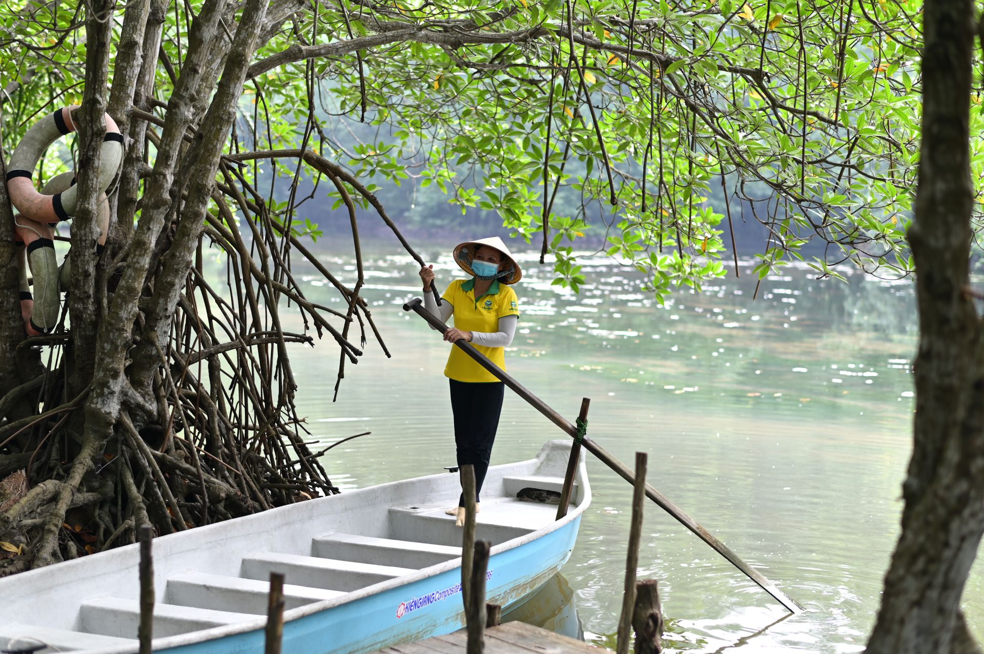 Woman in traditional hat paddling through a tranquil mangrove forest river.