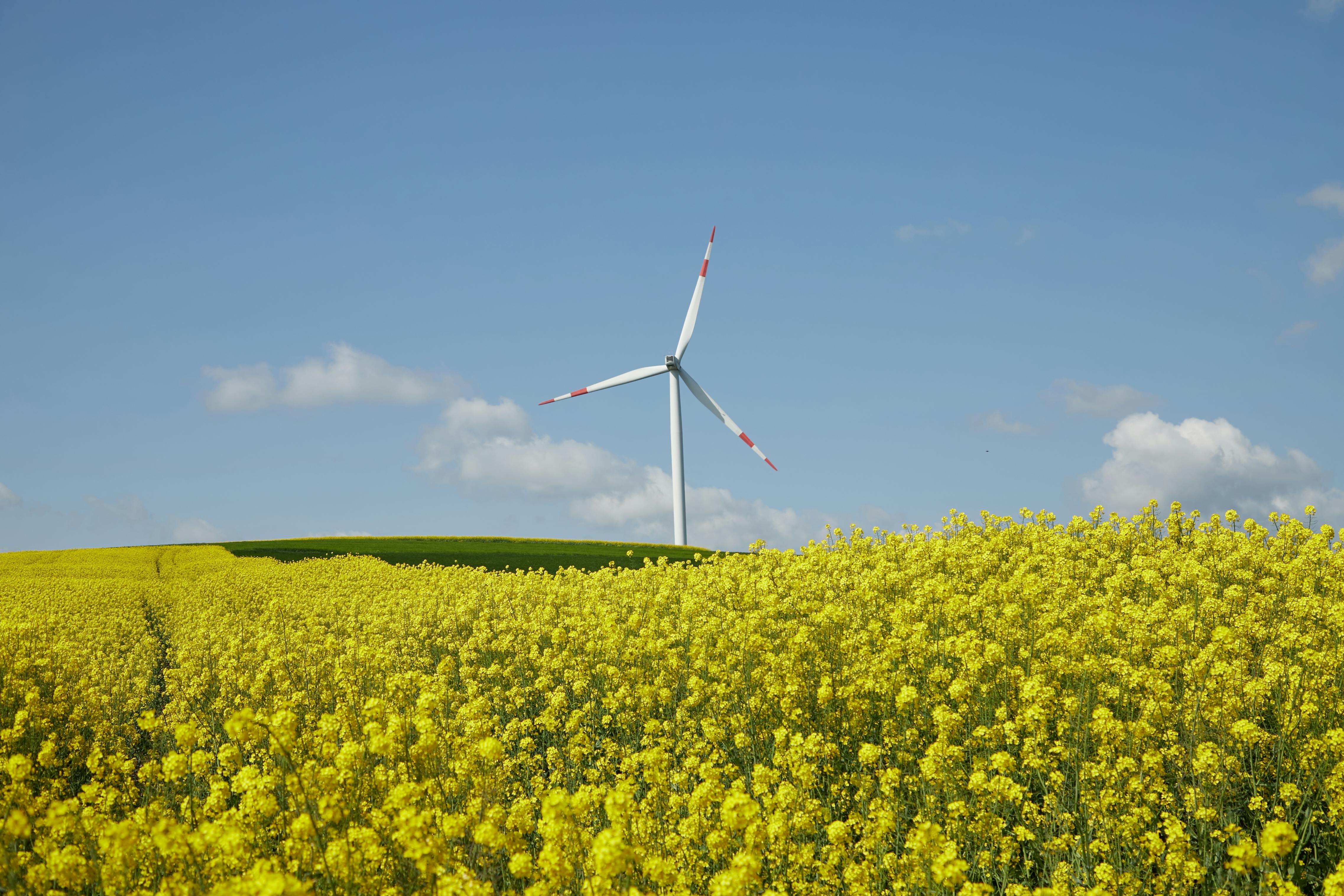 7 Benefits of Renewable Energy Use — Photo by Meriç Tuna on Pexels
