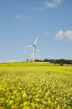 A wind turbine stands amidst a vast yellow flower field under a clear blue sky.