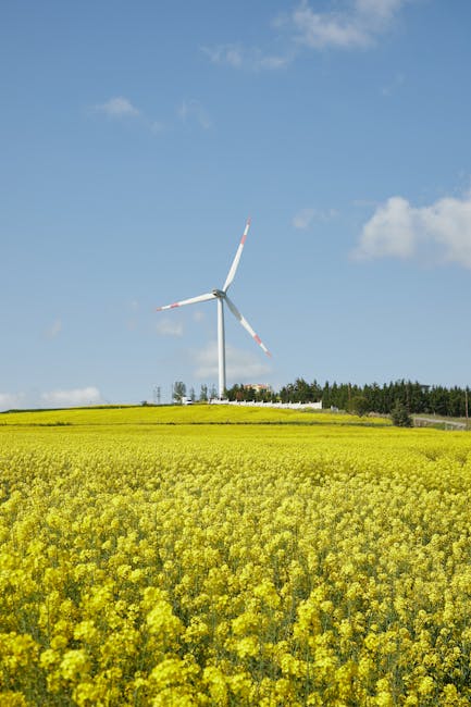 革新能源潮:全面解密水力發電與綠色能源解決方案 革新能源潮:全面解密水力發電與綠色能源解決方案