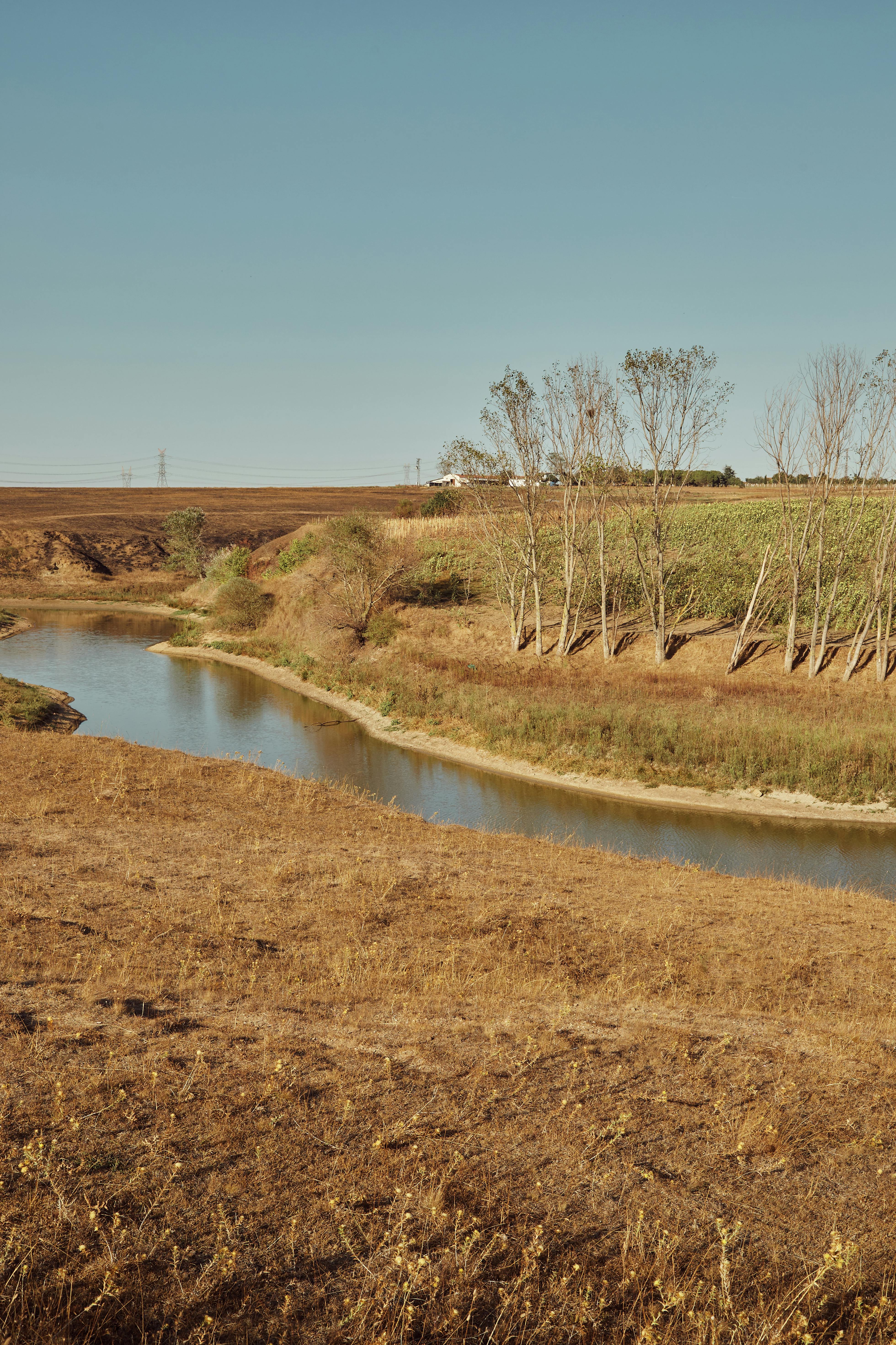 Forrest Photos, Download The BEST Free Forrest Stock Photos & HD Images