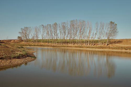 Free A tranquil scene with trees reflected in a calm lake under a clear sky. Stock Photo