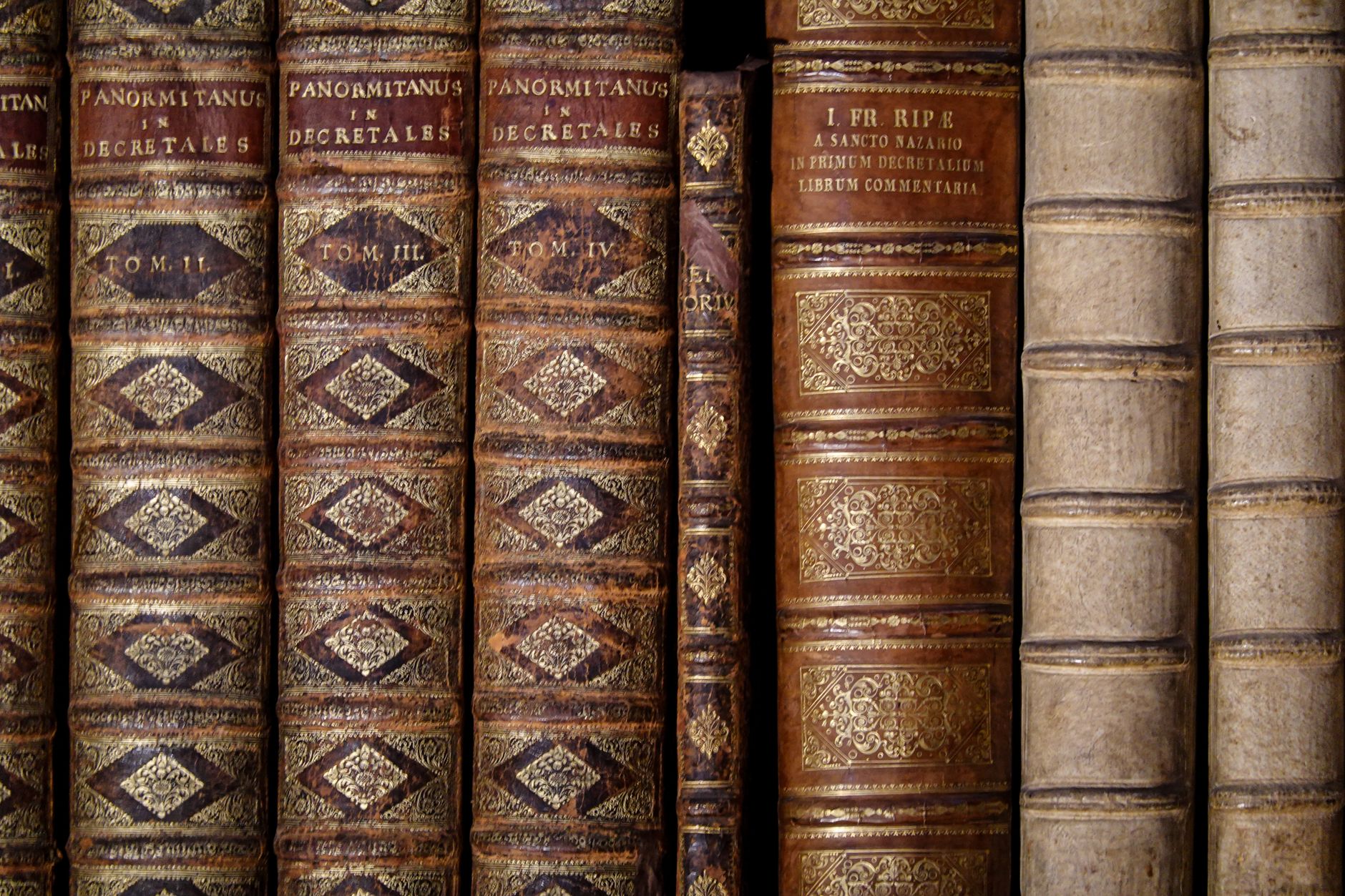 Detailed view of classic leather-bound books lined on a shelf.
