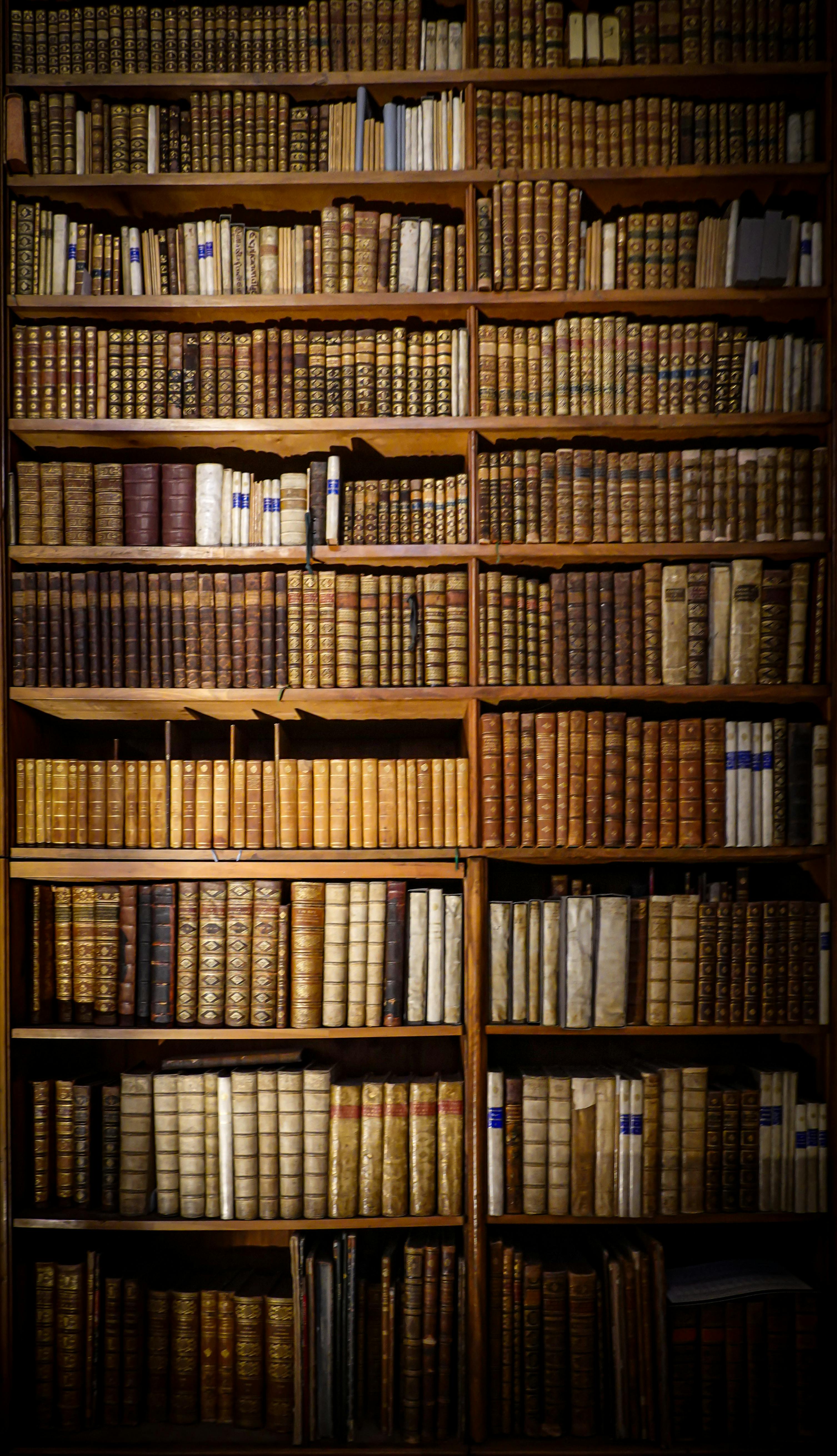 A towering bookshelf filled with antique, leather-bound books in a dimly lit library setting.