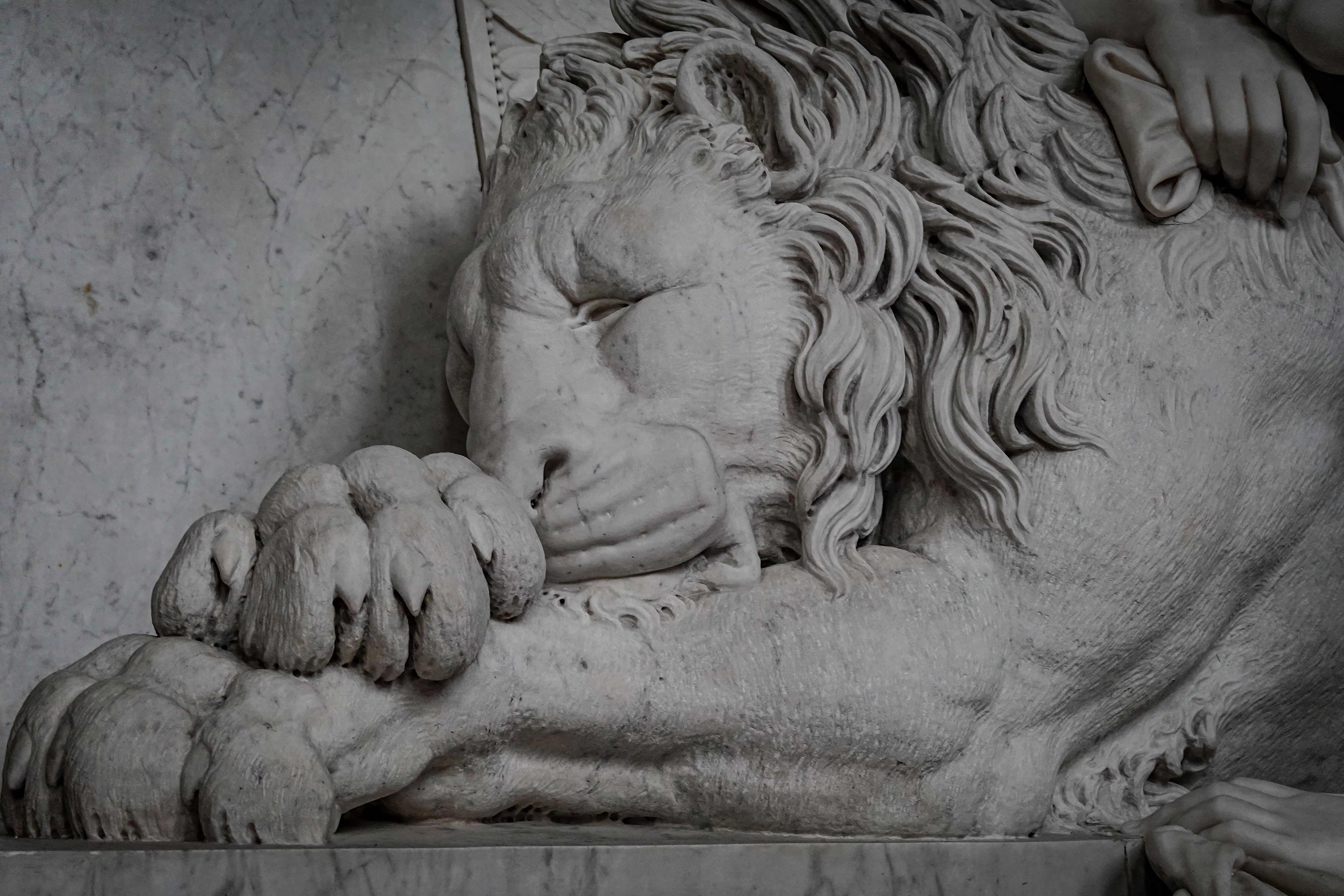 Elegant Marble Lion Sculpture in Museum Setting · Free Stock Photo
