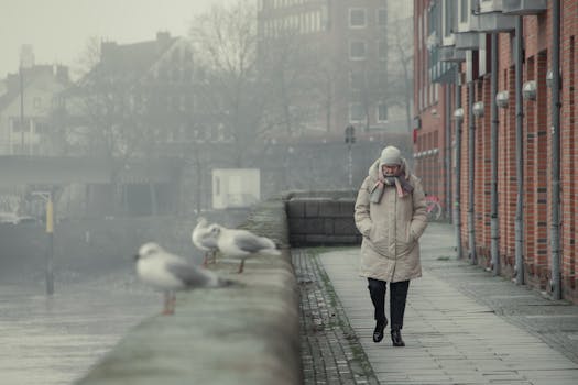 A person walks along a foggy riverside in Bremen during winter, surrounded by seagulls and urban architecture.