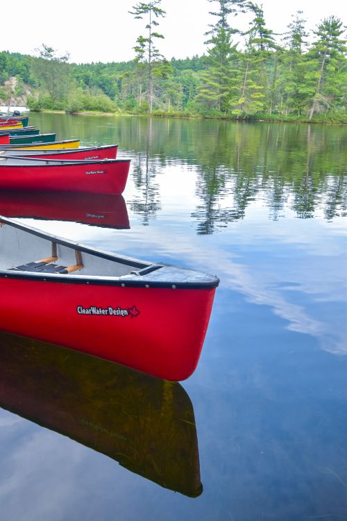 Free stock photo of background greenery, canada nature, canoes Stock Photo