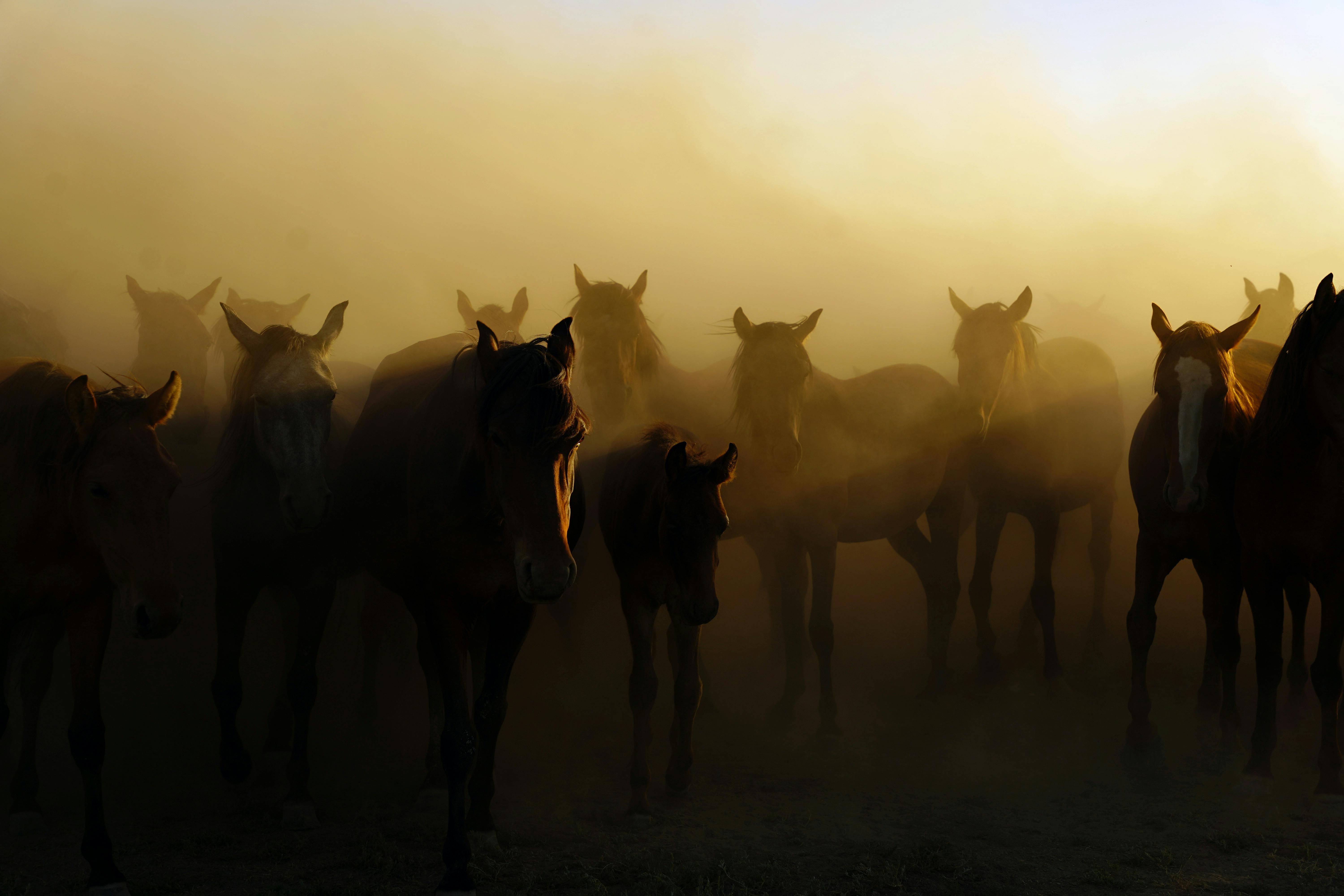 Responsive by default