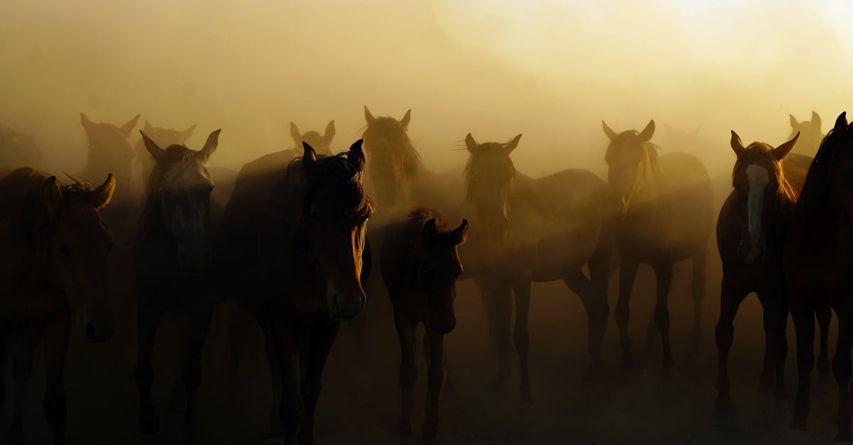 Responsive by default