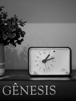 Vintage clock on a book with a plant in monochrome setting.