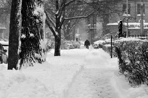 Free A snow-covered urban sidewalk with trees, captured during a winter storm with falling snow. Stock Photo