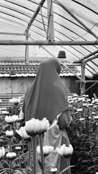 A Muslim woman stands in a serene black and white flower garden in Malang, Indonesia. - Fotografer Sidoarjo