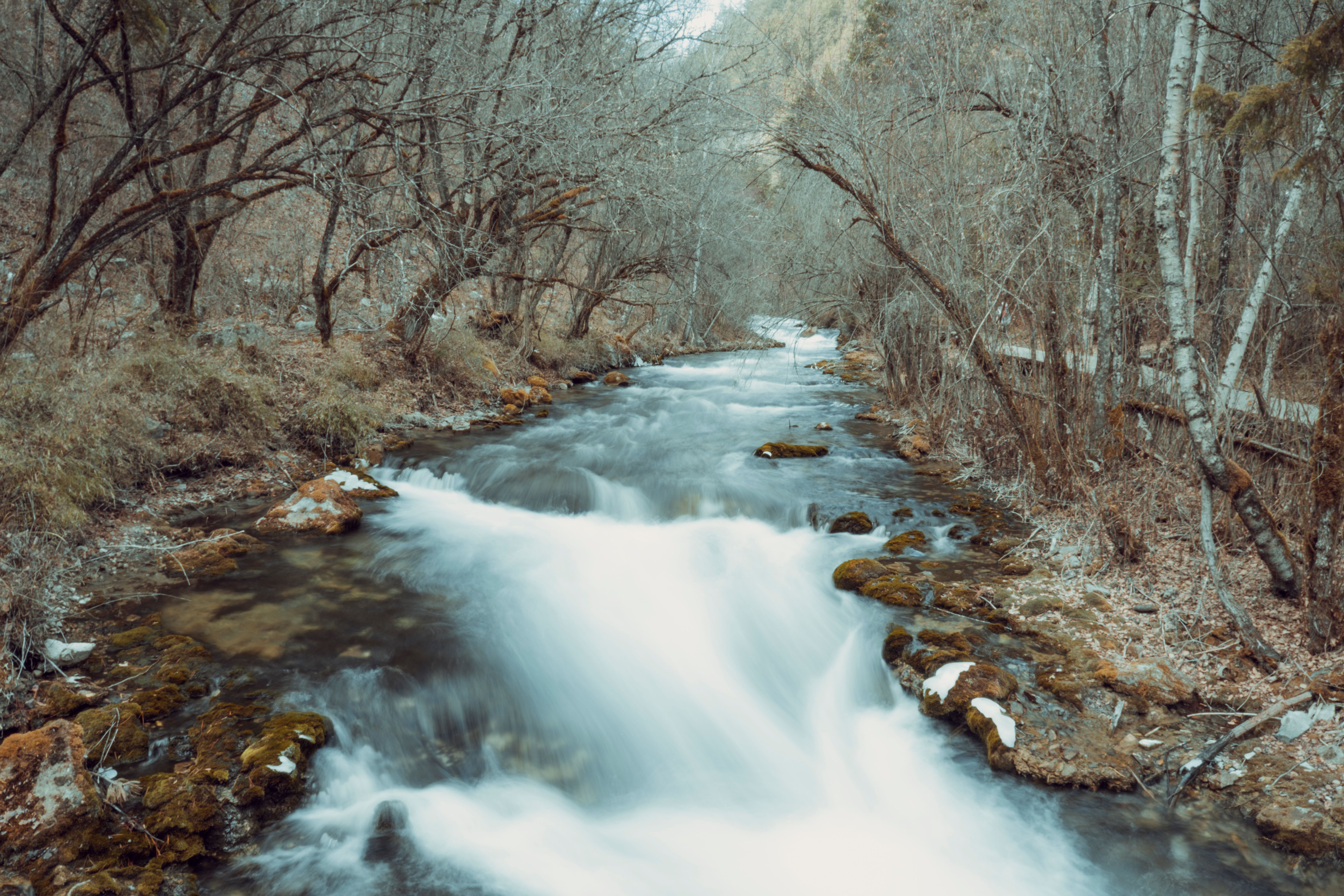 A tranquil river flows through a barren forest landscape in winter, showcasing nature's beauty.