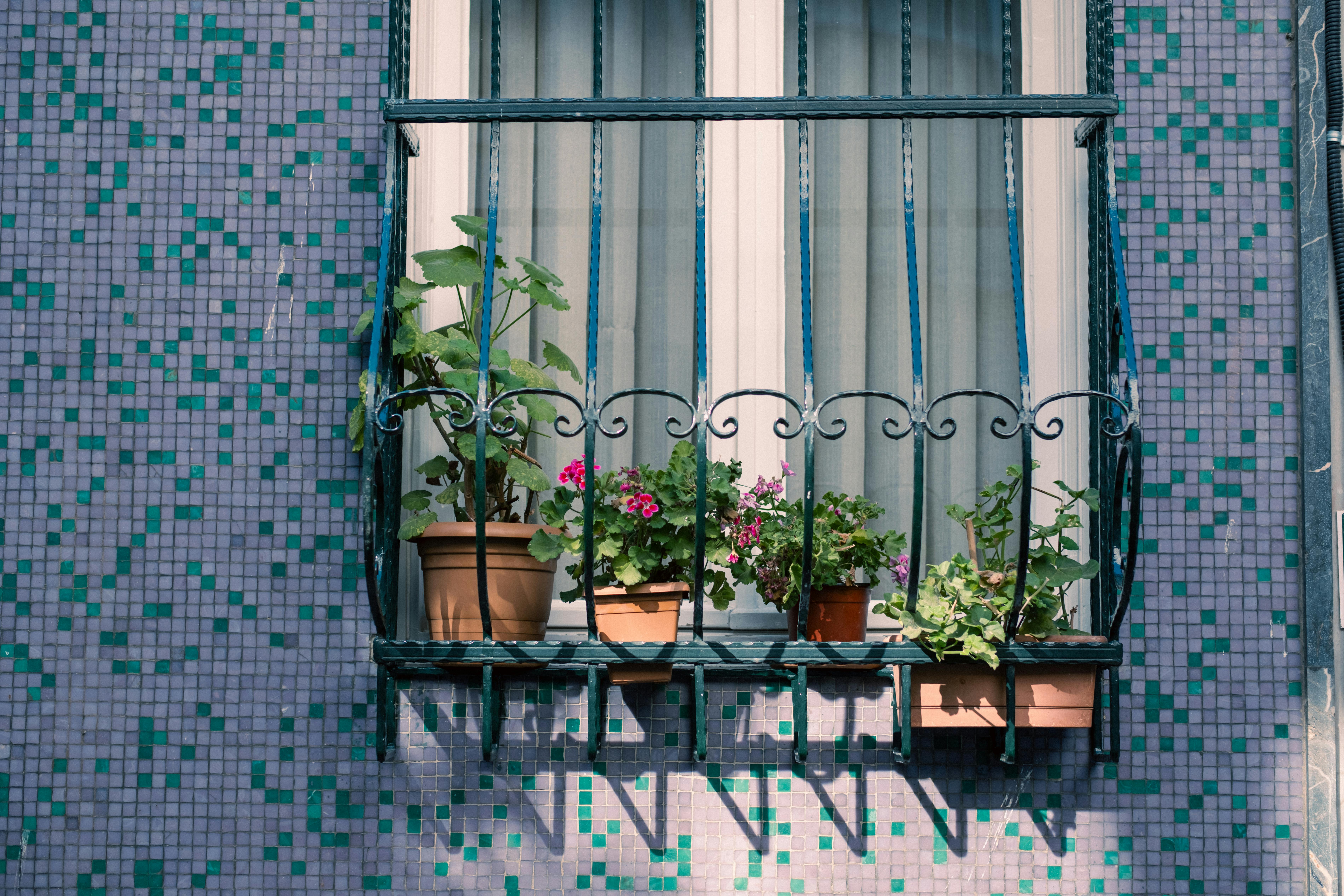 Charming balcony adorned with potted plants on a mosaic wall in Istanbul.