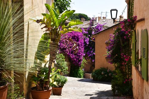 Free Explore a picturesque street adorned with vibrant bougainvillea in Bormes-les-Mimosas, South of France. Stock Photo