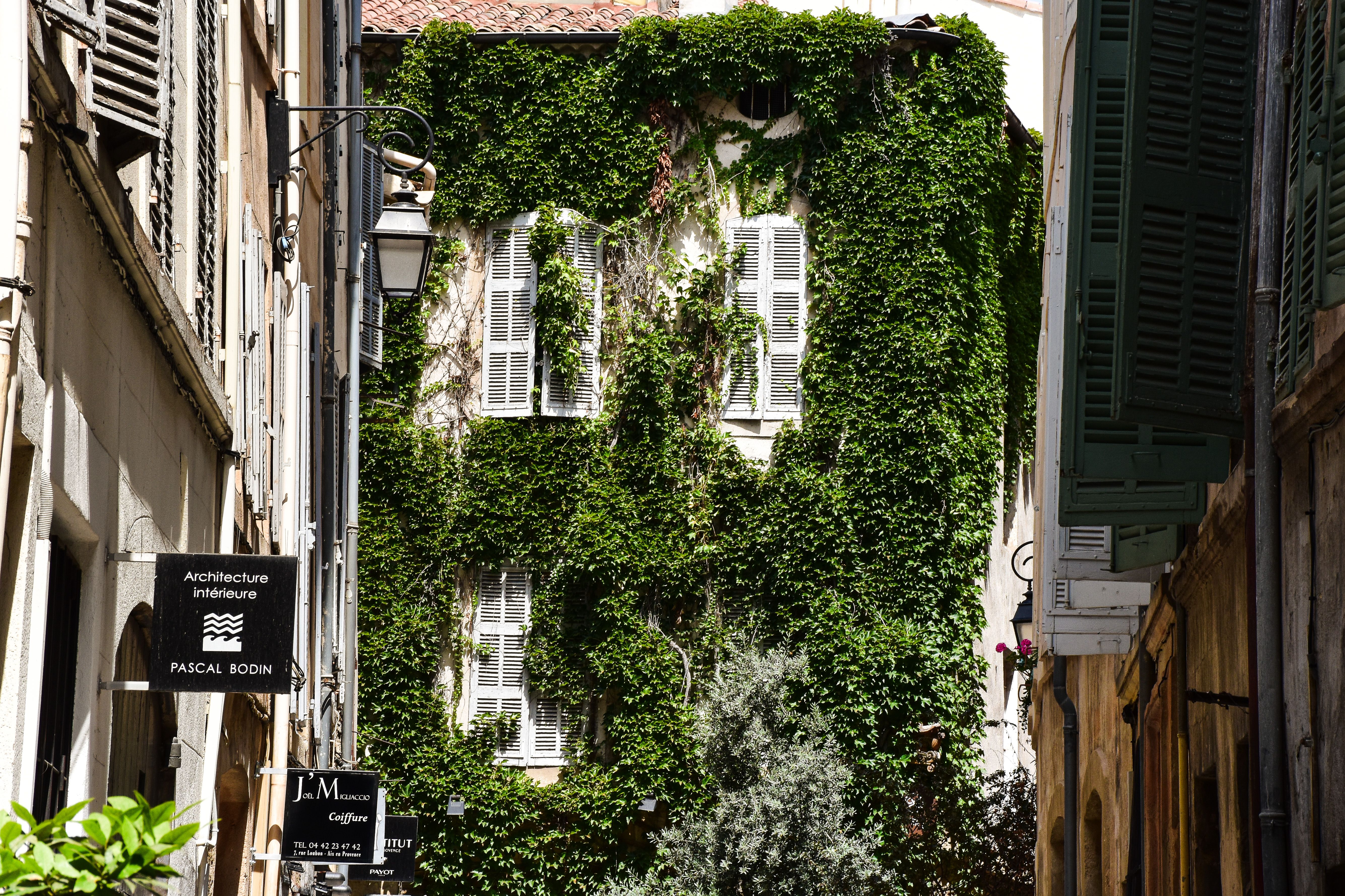 Sur les traces de Cézanne
