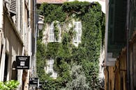 Charming Ivy-Covered Building in Aix-en-Provence