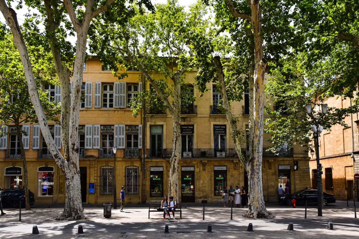 Allée ombragée de platanes centenaires à Aix-en-Provence
