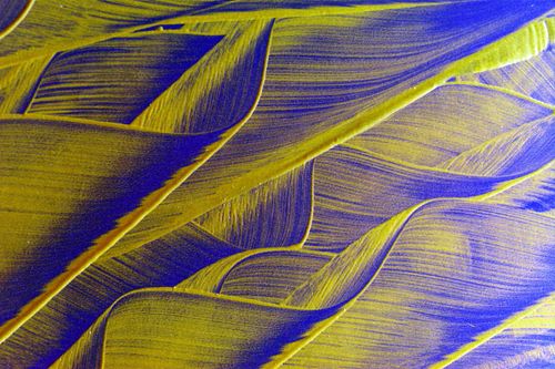 Free Dynamic abstract brush strokes in blue and yellow create a vivid artistic composition. Stock Photo