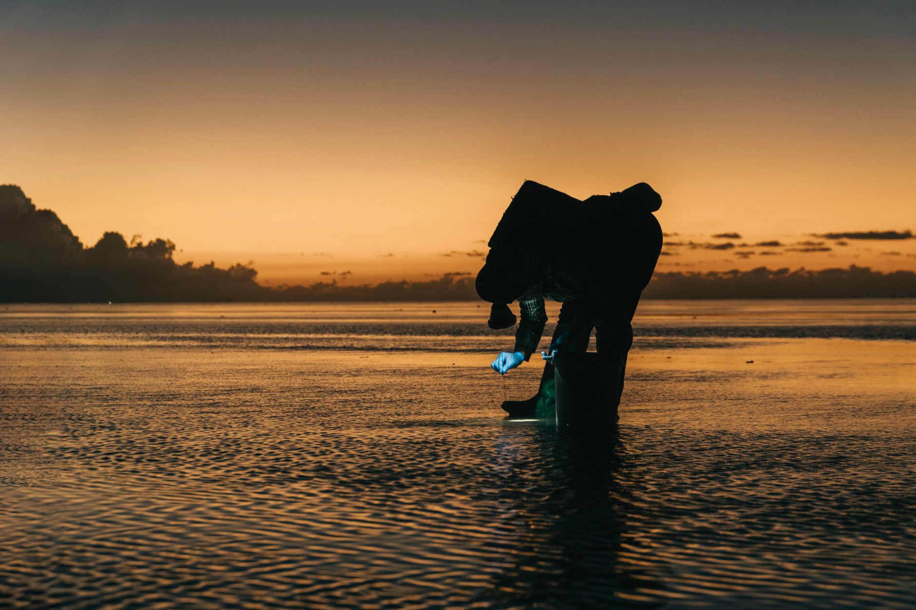 Climate Data Sheds Light on Polynesian Migration Shift After Millennia of Westward Travel