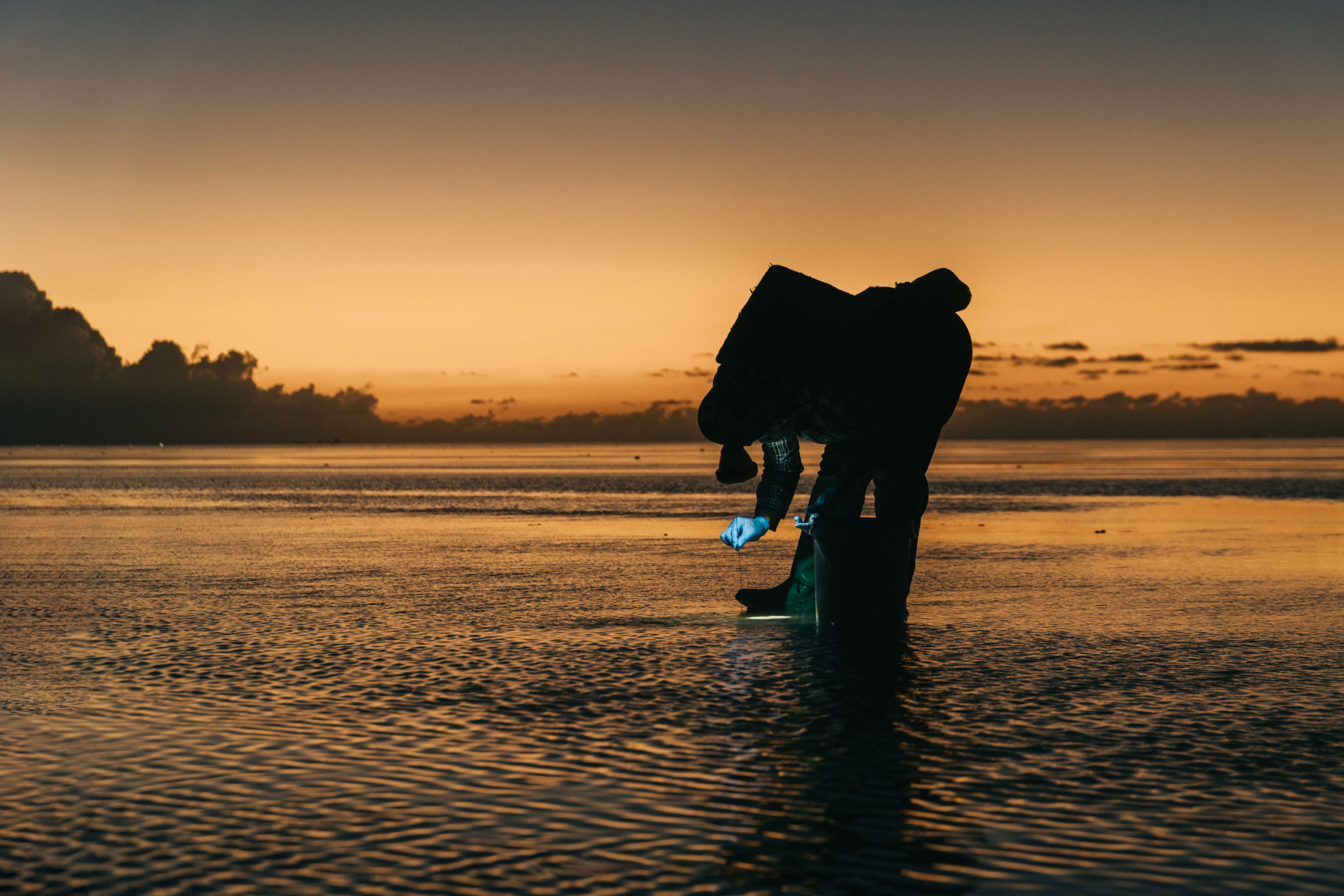 Silhouette of Person at Sunset on Beach · Free Stock Photo