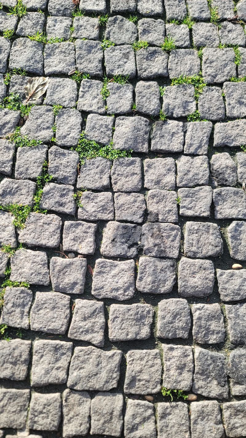 Close-up of weathered natural stone setts