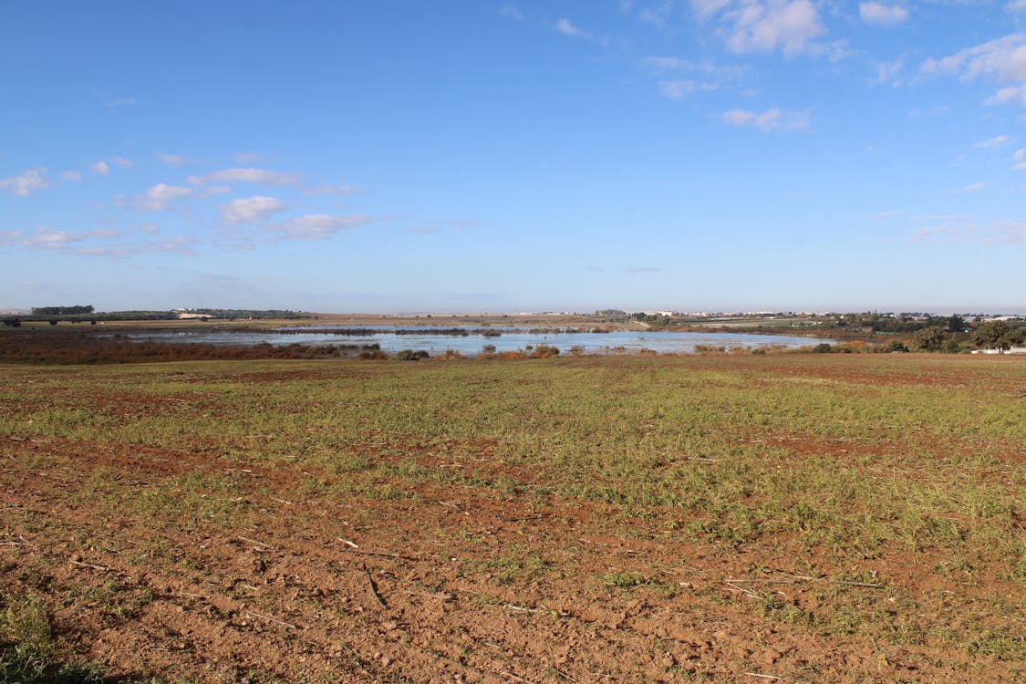 laguna de los tollos | fotografía 1