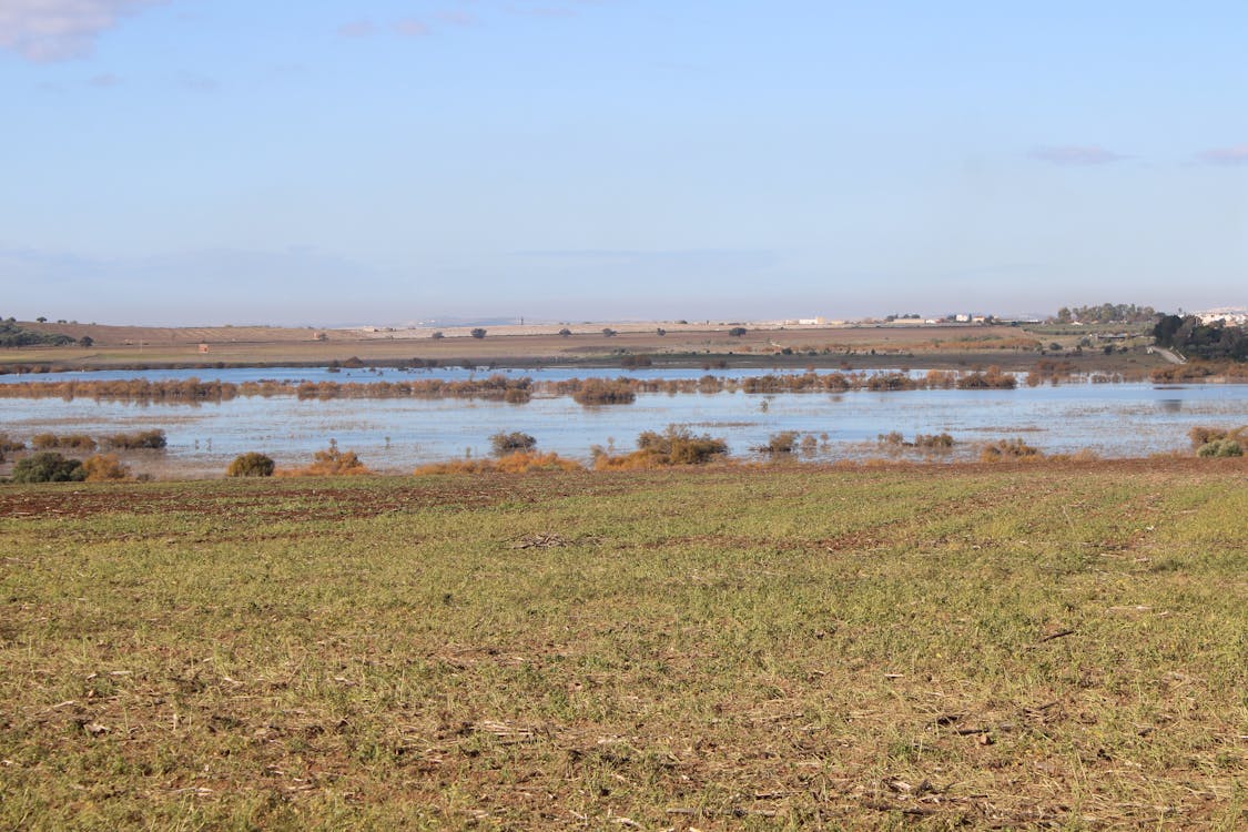 espacios naturales a las afueras de el Cuervo | fotografía 3
