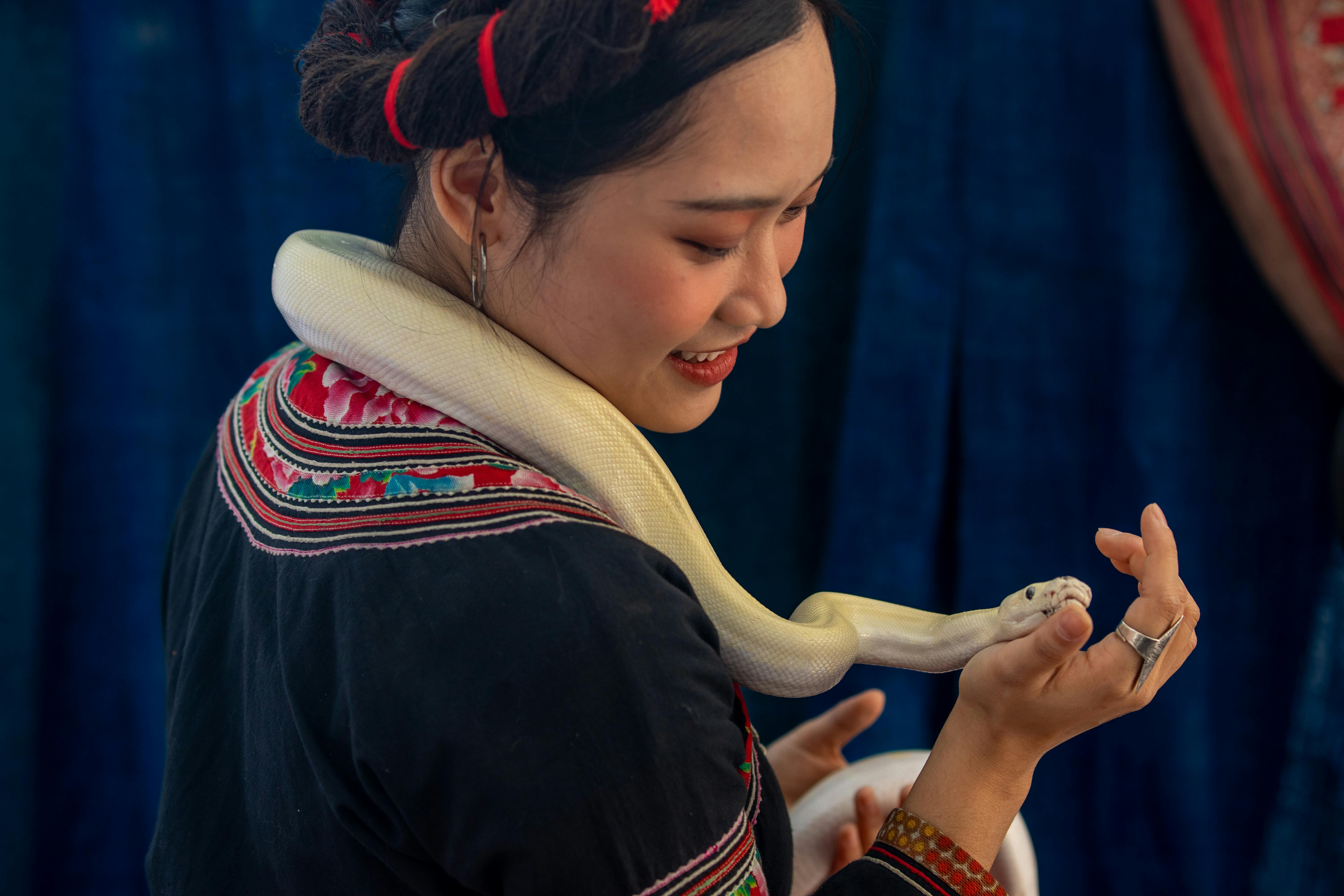 Queue De Serpent Photos, Download The BEST Free Queue De Serpent Stock ...