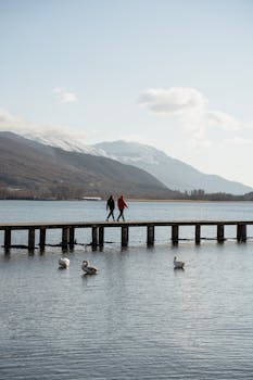 A tranquil scene of two people walking on a pier at Lake Ohrid, North Macedonia, in winter with swans in the foreground.