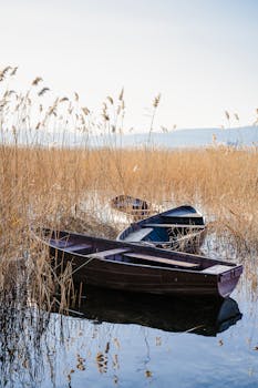 Peaceful scene of wooden boats amidst reeds in Ohrid, North Macedonia.