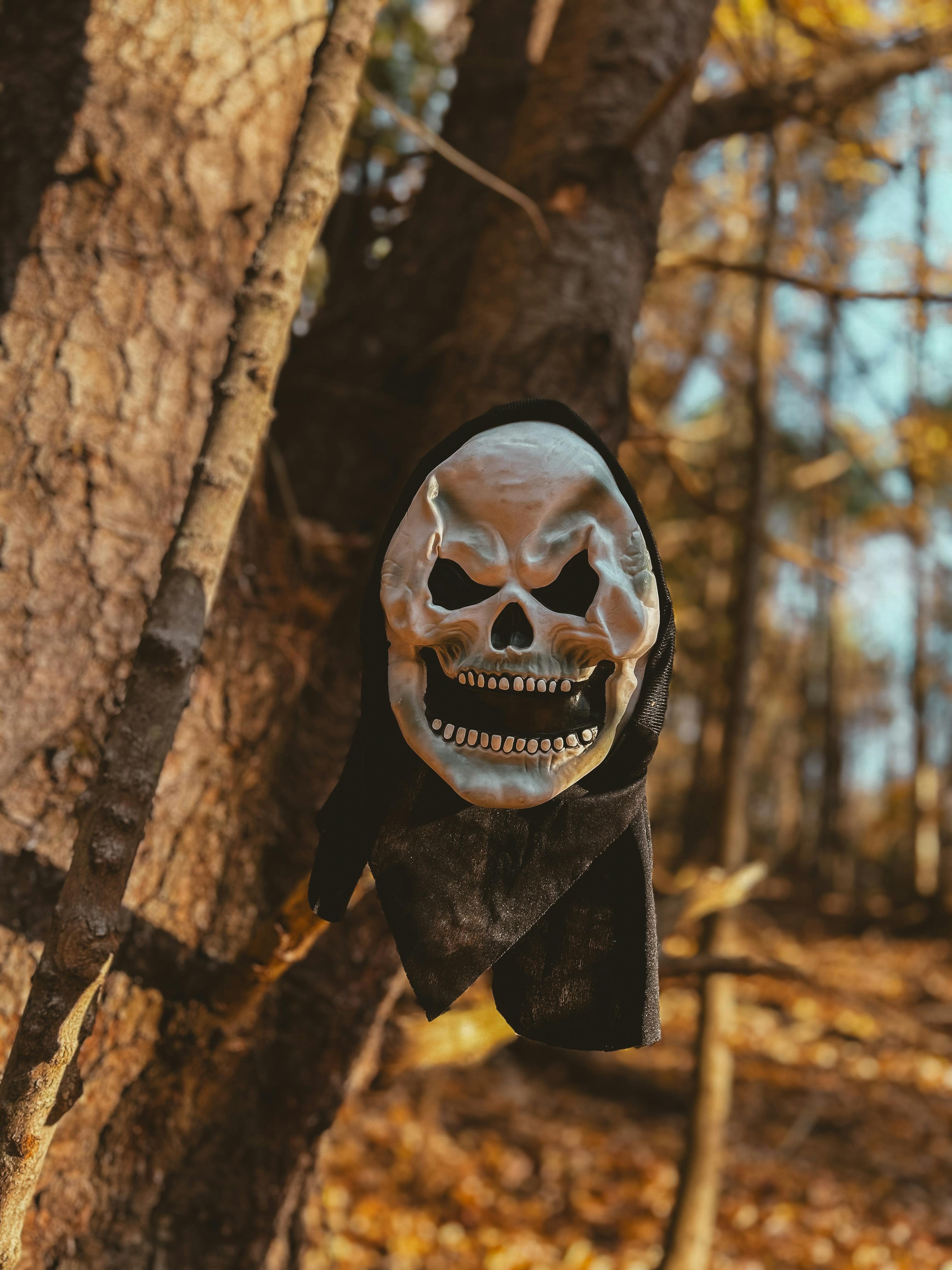 grátis Uma máscara de caveira assustadora balança ameaçadoramente em uma árvore em uma floresta ensolarada de outono, evocando vibrações de Halloween. Foto profissional