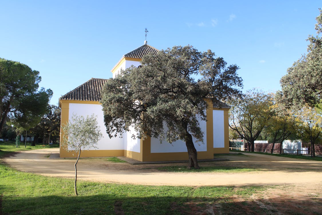 parte trasera del templo | fotografía 5