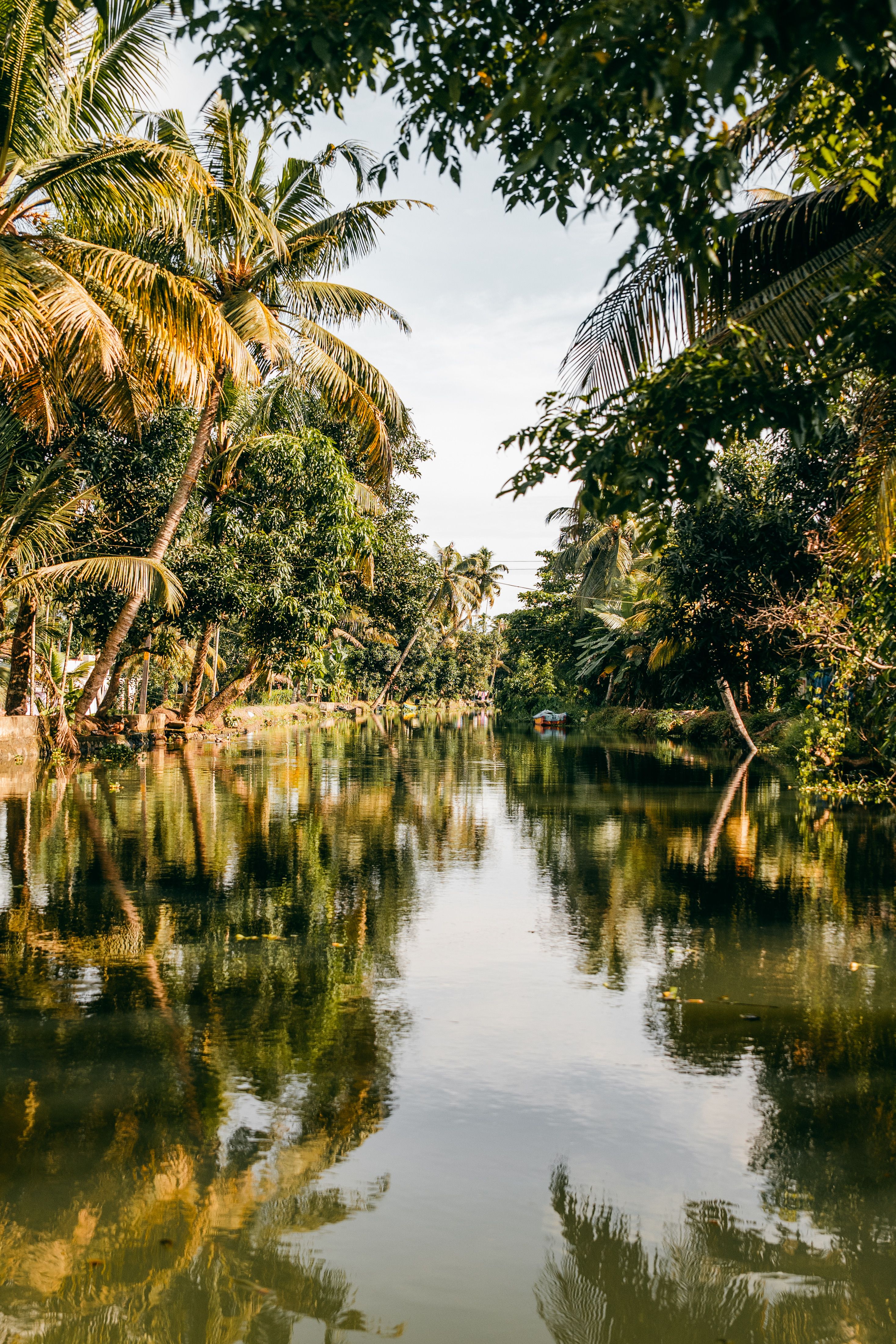 Backwaters & Hills Honeymoon Kerala Honeymoon Package Holiday Vibez