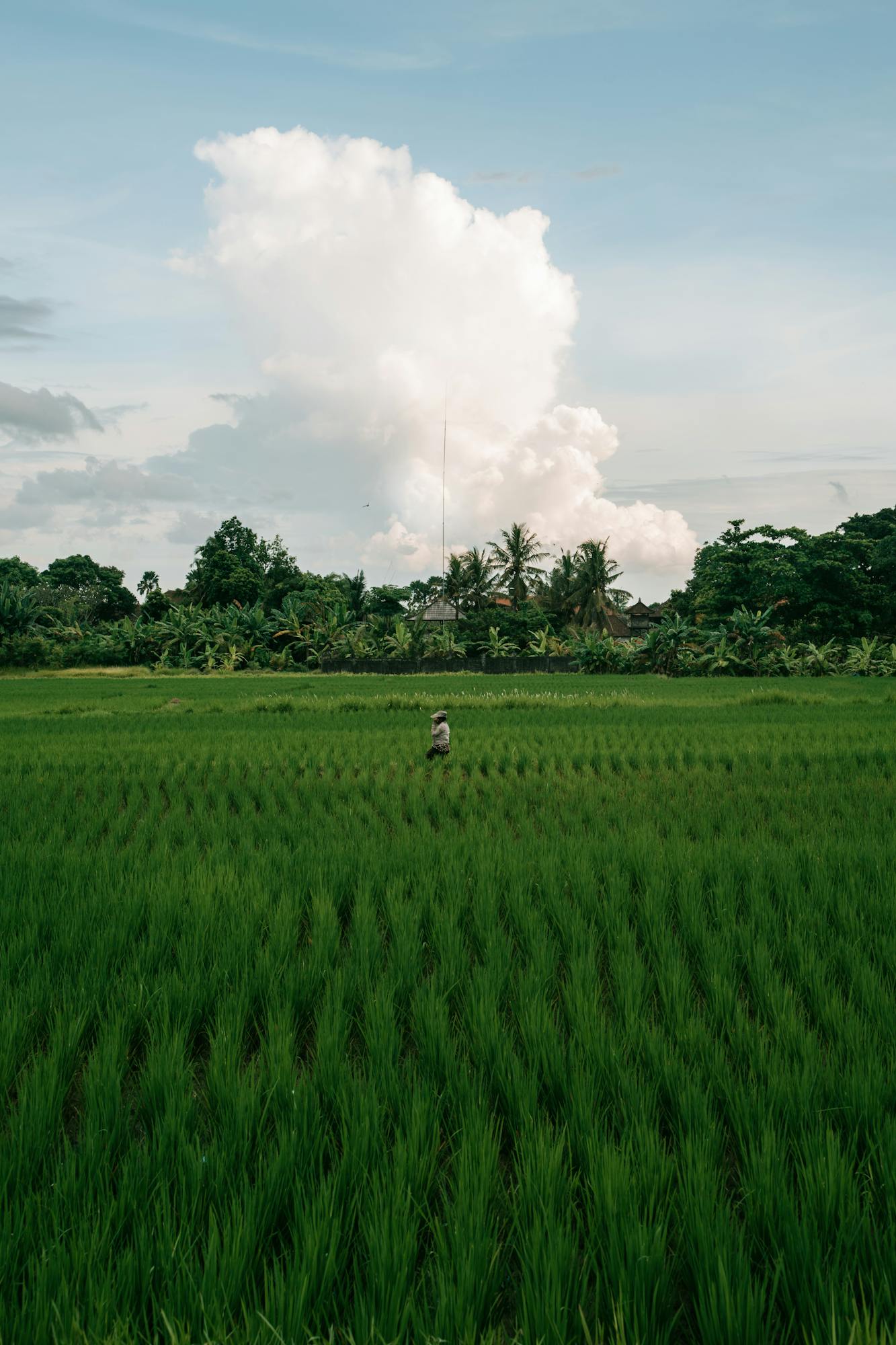 Sürdürülebilir Turizm Faaliyetleri Sürdürülebilir Turizm Faaliyetleri