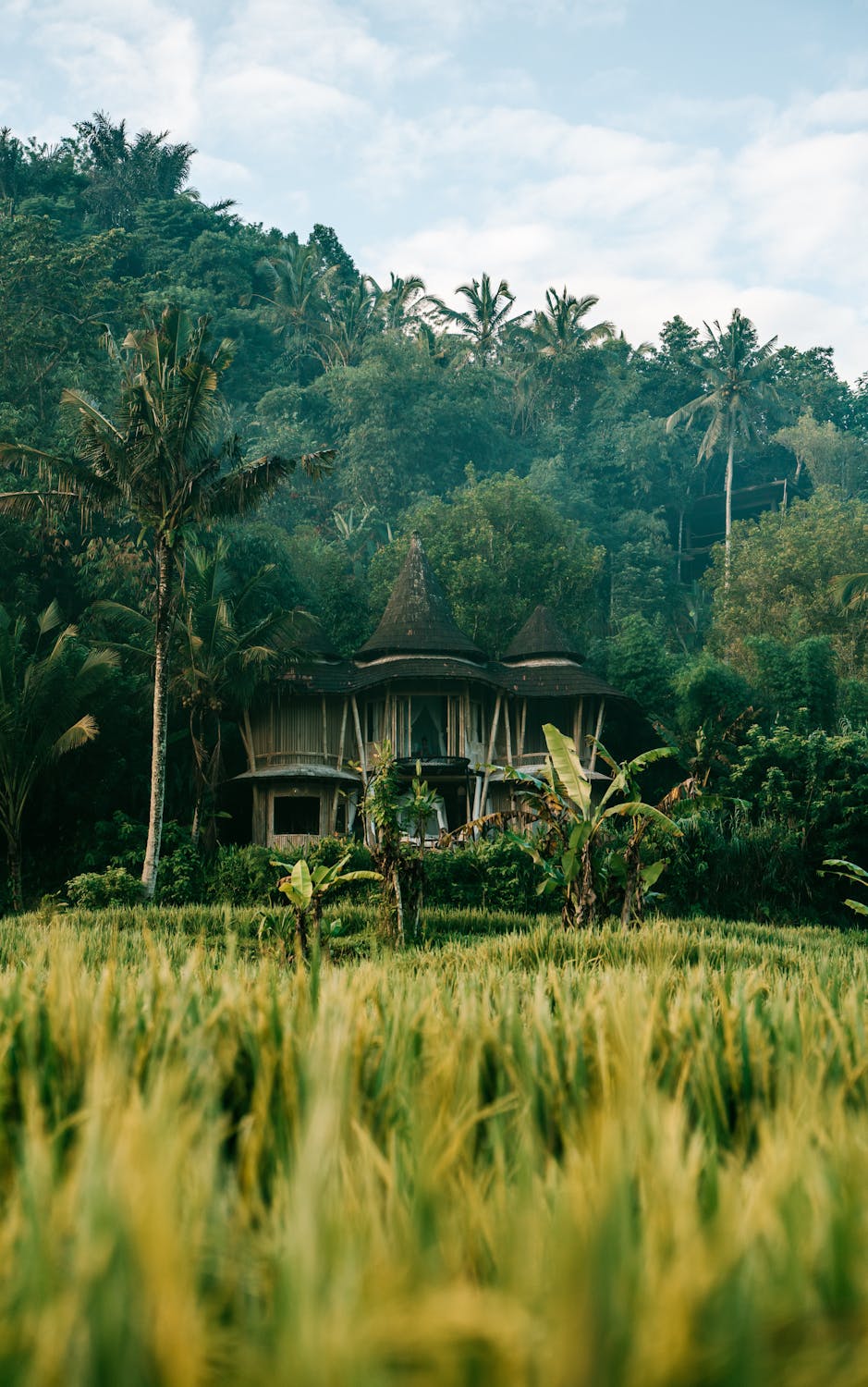 Best Corporate Outing Resorts In Dandeli 6 free photo of scenic traditional house amidst bali rice fields