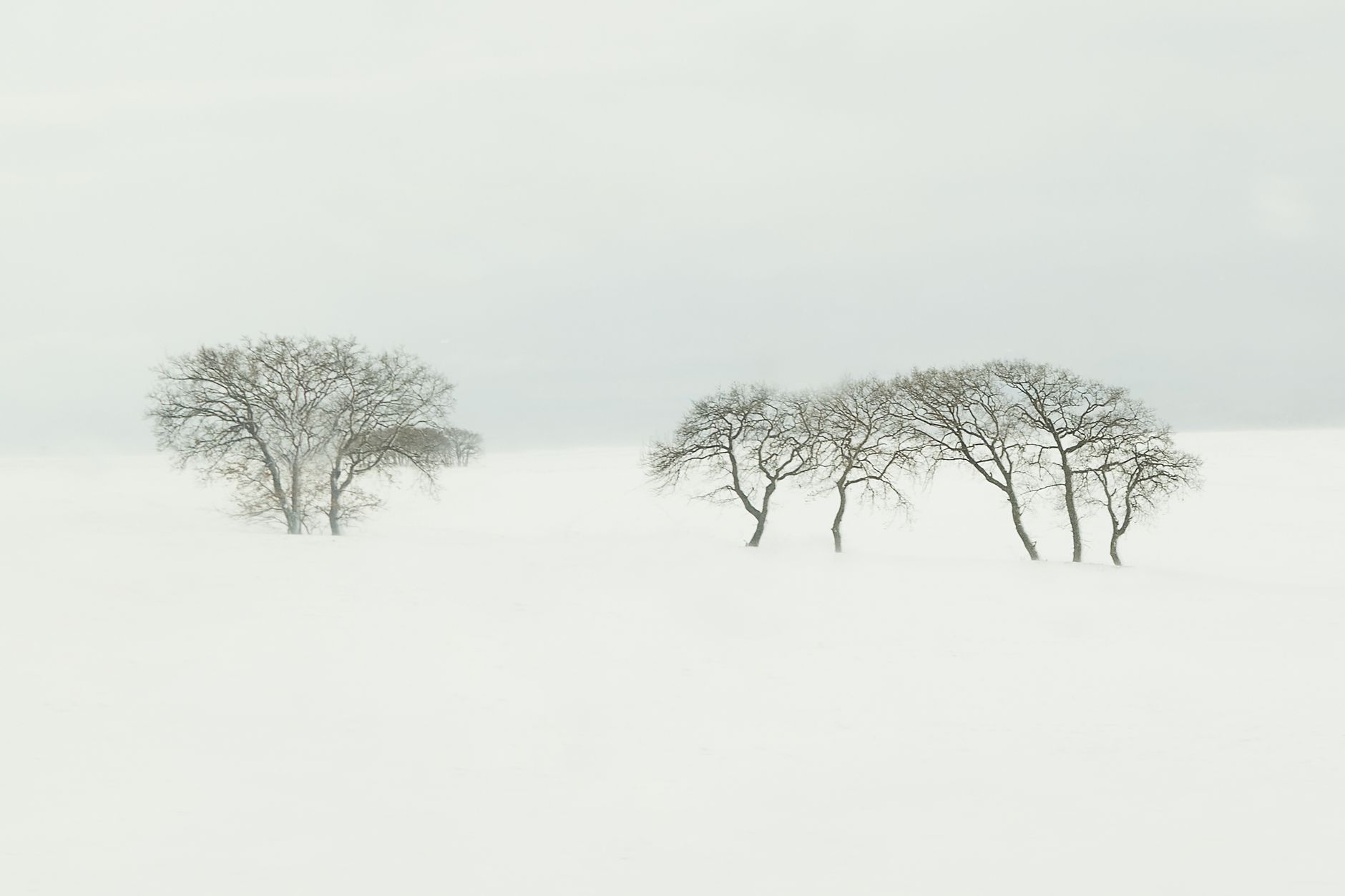 Ger sever la Târgoviște în noaptea de Anul Nou 2026: temperatură minimă de -12,5°C