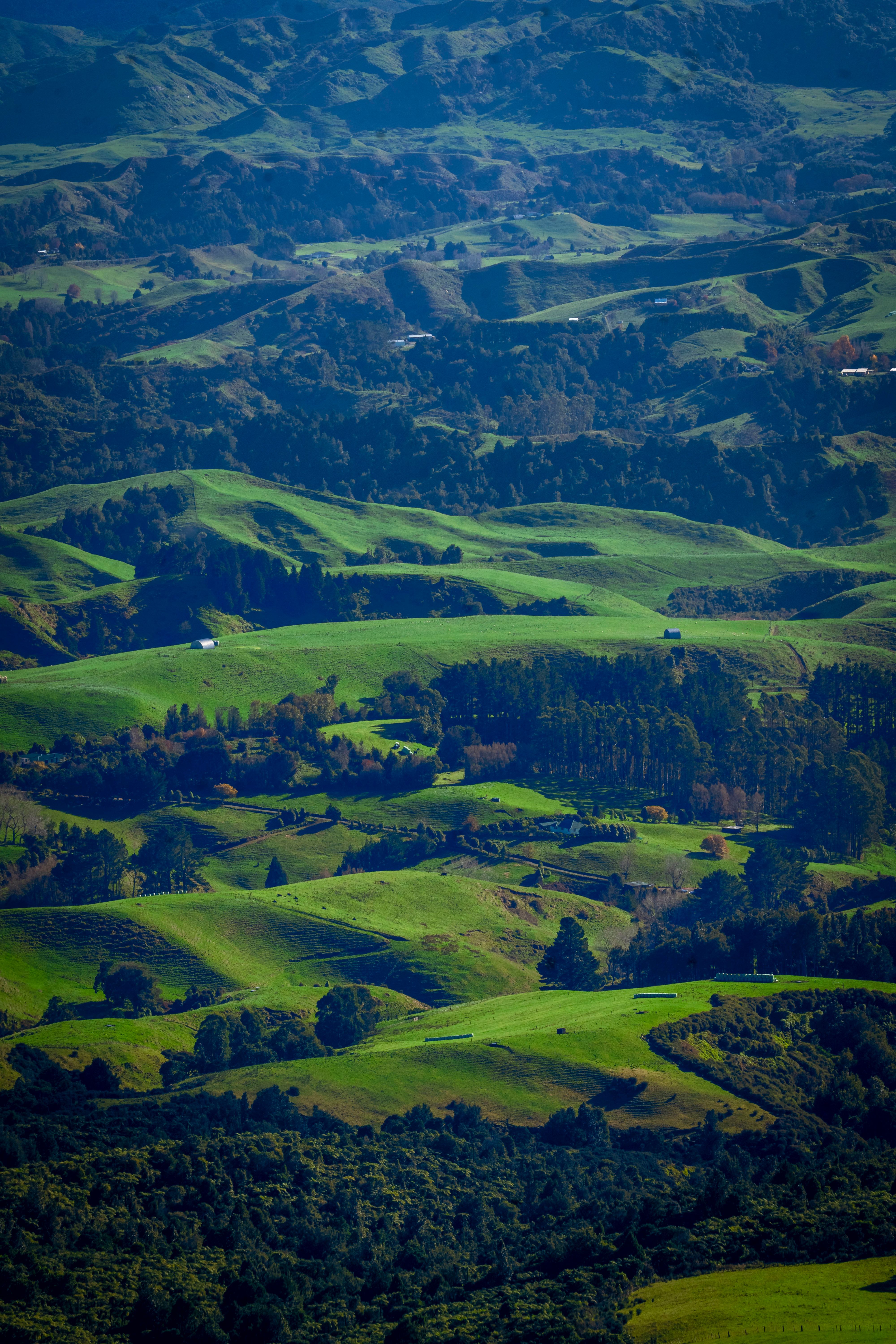 <b>New Zealand's Role in Setting Standards: Sustainable Tourism Leadership</b>