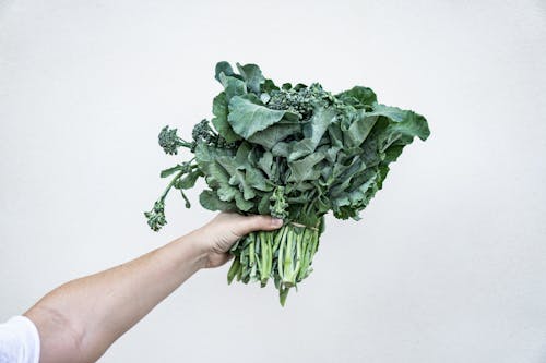 bezplatná Základová fotografie zdarma na téma brokolice, jídlo, kapusta Základová fotografie