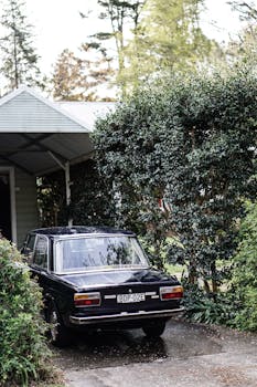 在新南威尔士州莱拉市绿树环绕的郊区车道上，停着一辆经典古董车