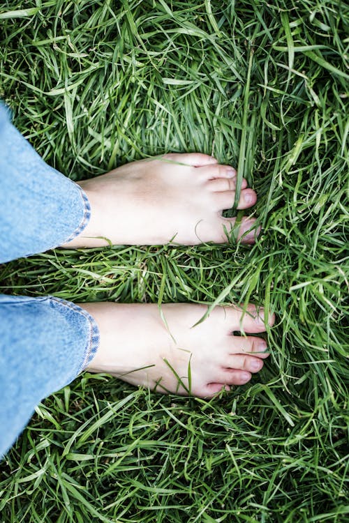 Free Person, Die Blaue Jeans Trägt, Die Auf Grünem Gras Stehen Stock Photo